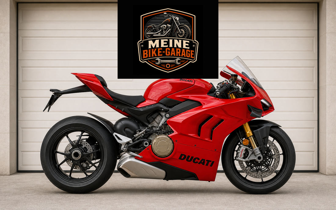 Ducati Panigale V4 Motorradteile und Zubehör