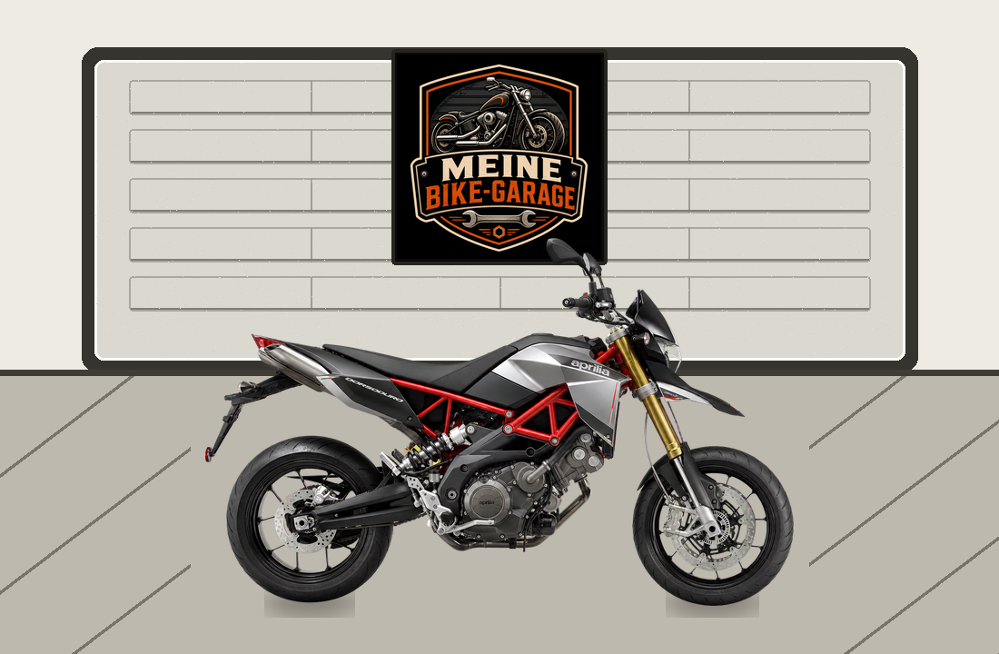 Motorradillustration für Aprilia Dorsoduro 900