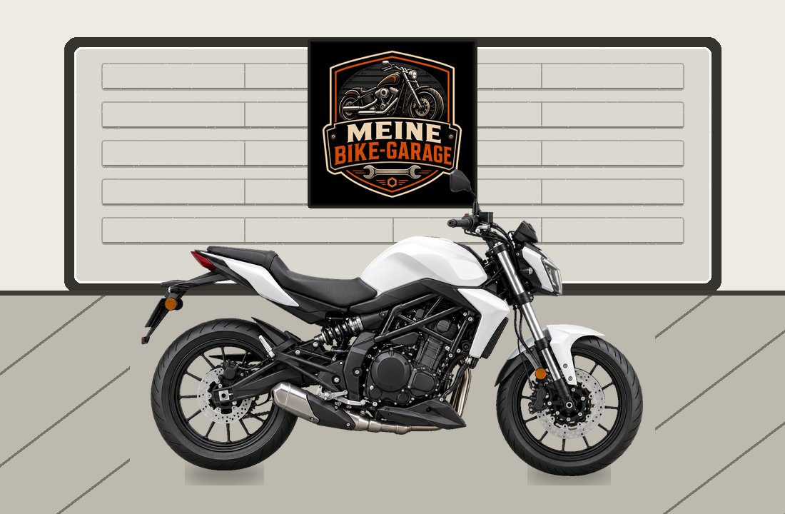 Motorradillustration für Benelli 302 S