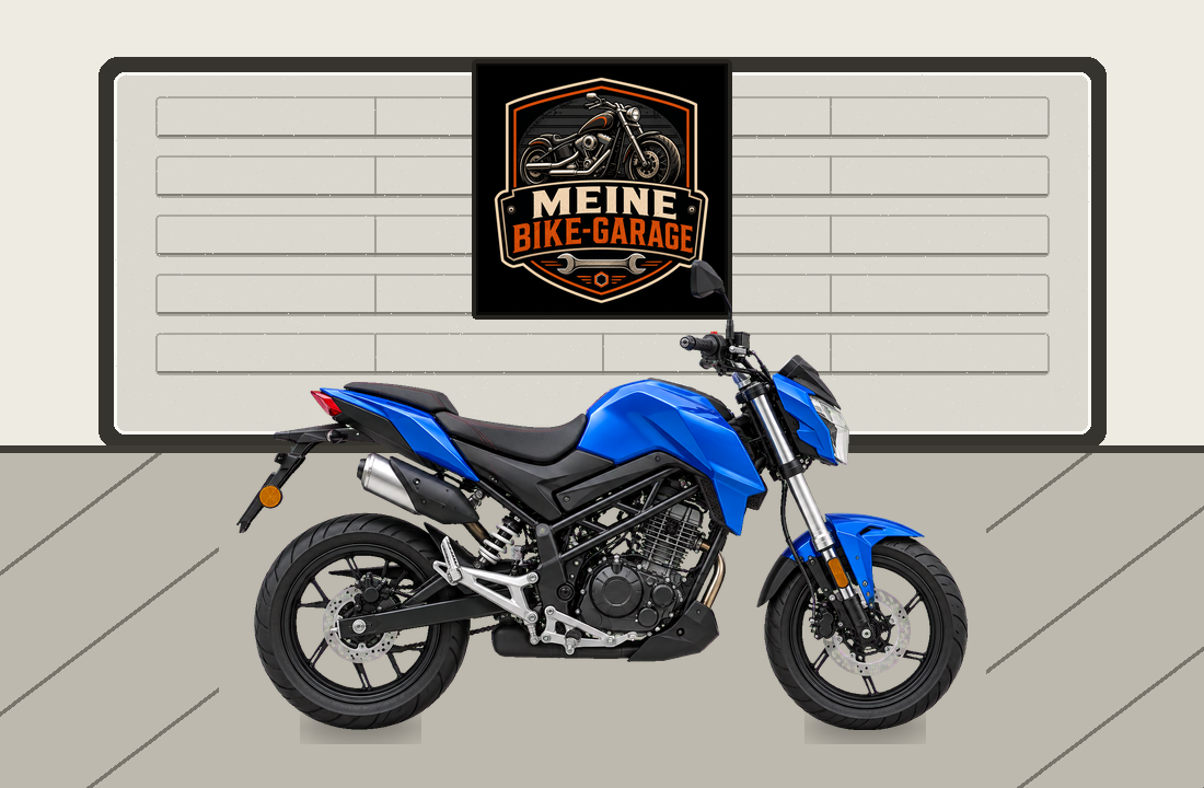 Motorradillustration für Benelli TNT 125