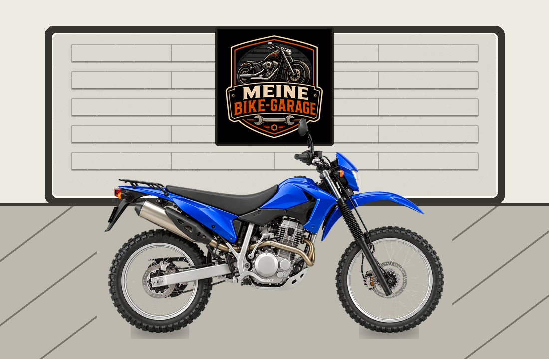 Motorradillustration für Beta Alp 4.0