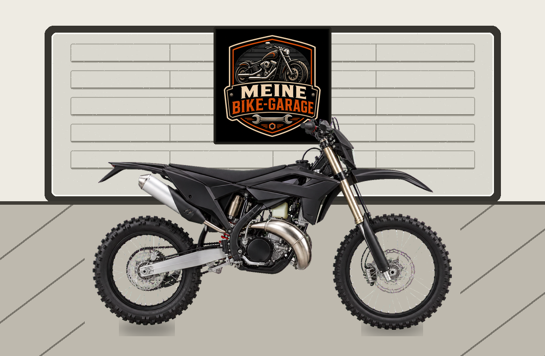 Motorradillustration für Beta RR 300 2T