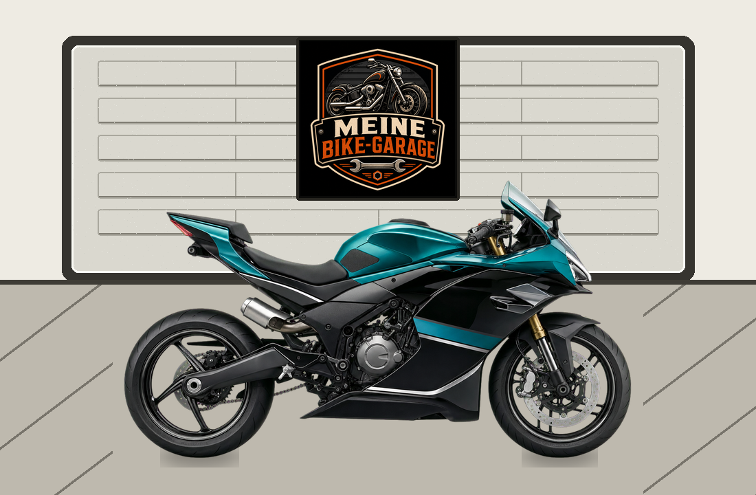Motorradillustration für CFMOTO 450SR S