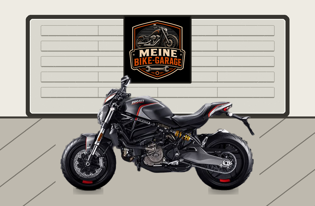 Motorradillustration für Ducati Monster 821