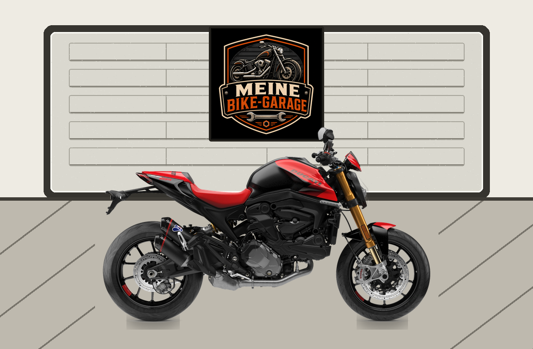 Motorradillustration für Ducati Monster SP