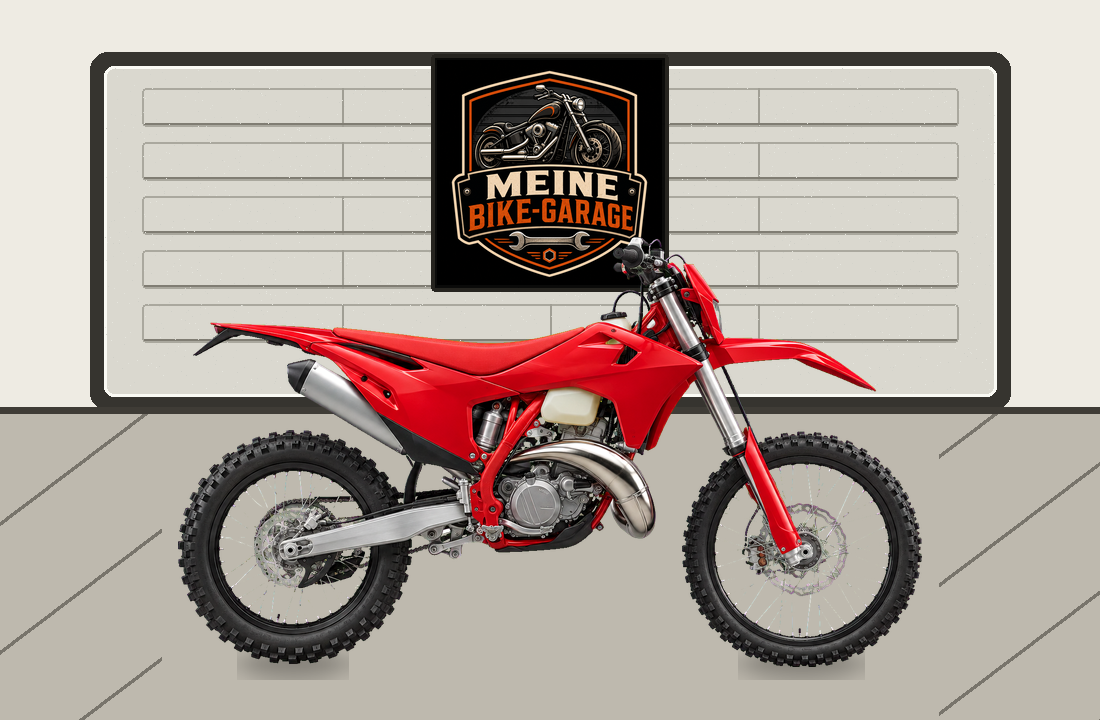 Motorradillustration für GASGAS EC 250