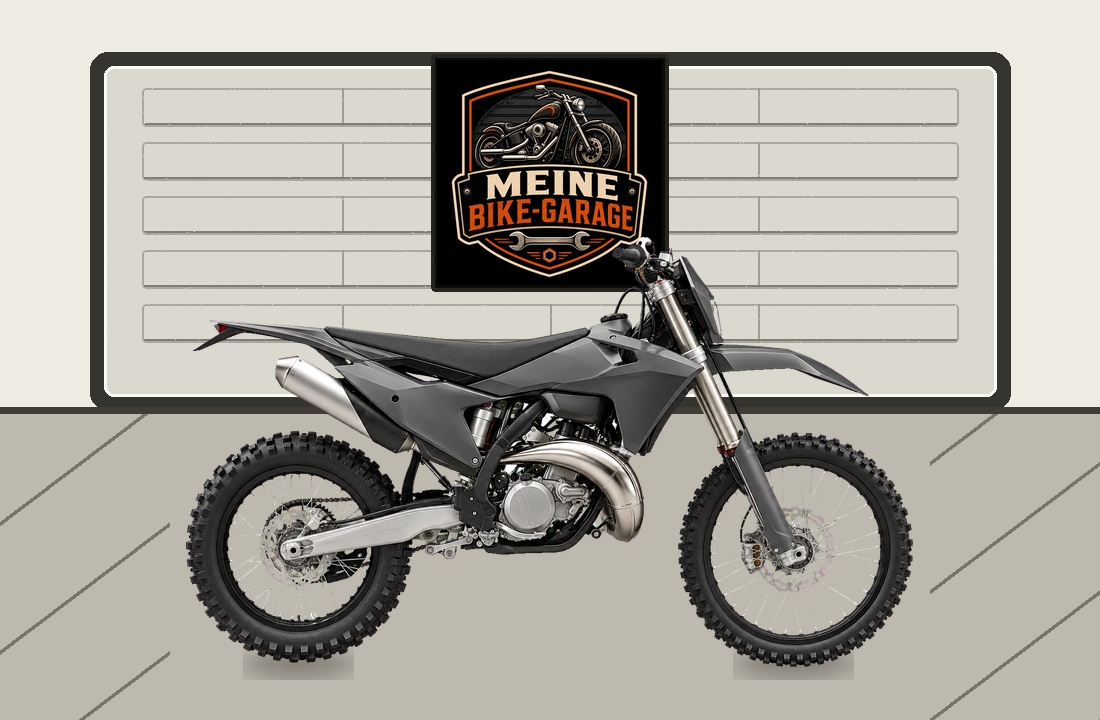 Motorradillustration für GASGAS EC 300