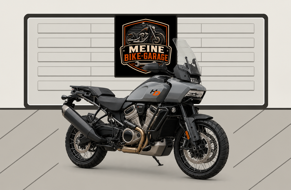Motorradillustration für Harley-Davidson Pan America 1250 Special