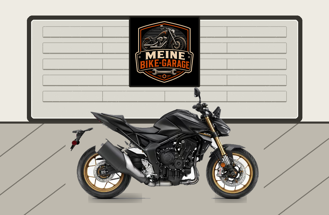 Motorradillustration für Honda CB1000 Hornet