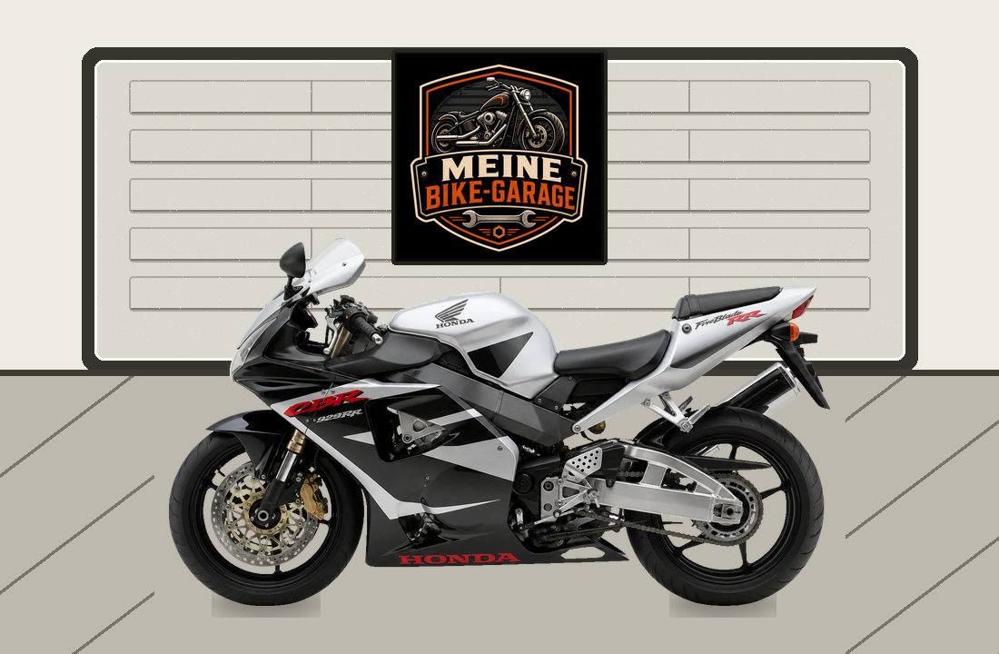 Motorradillustration für Honda CBR929RR FireBlade