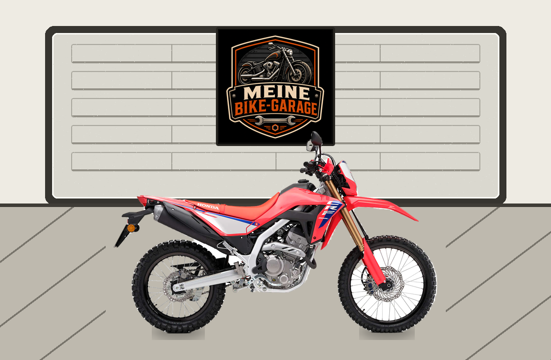 Motorradillustration für Honda CRF300 Rally