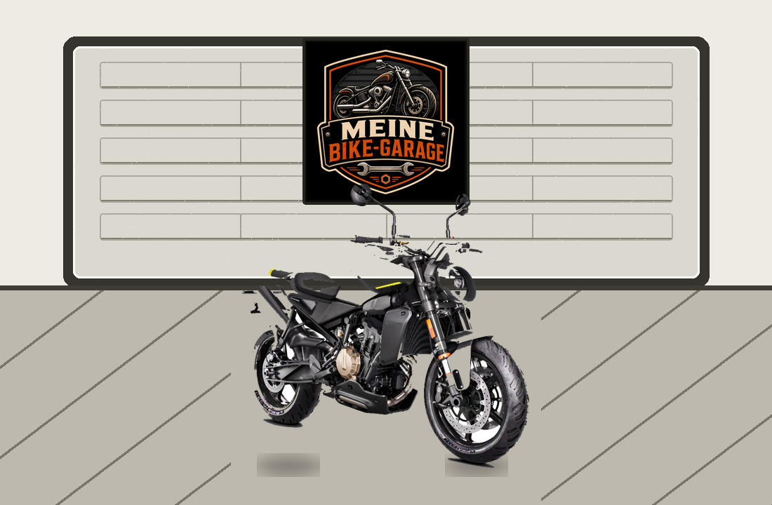 Motorradillustration für Husqvarna Vitpilen 801