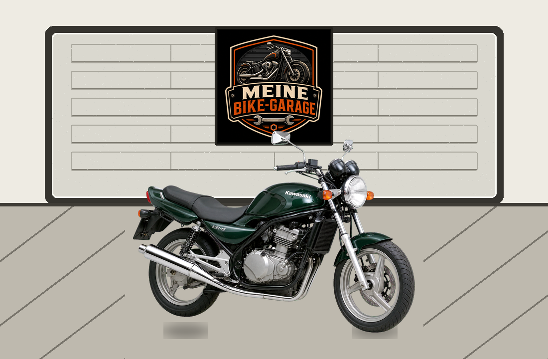 Motorradillustration für Kawasaki ER-5