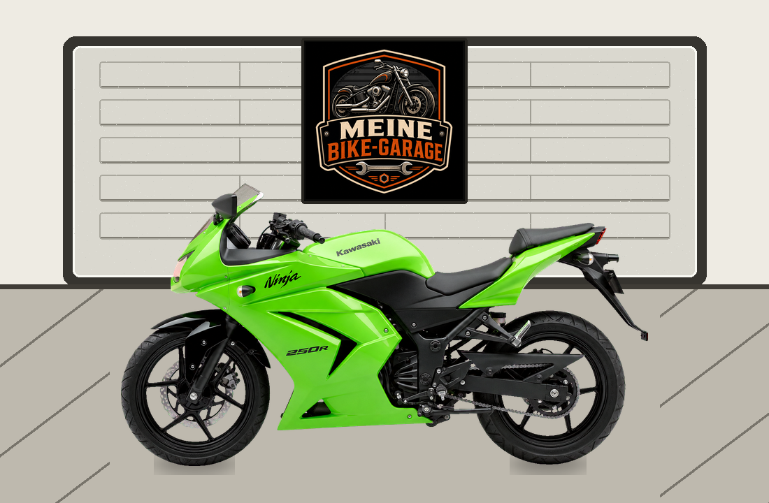 Motorradillustration für Kawasaki Ninja 250R