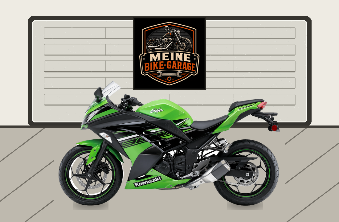 Motorradillustration für Kawasaki Ninja 300