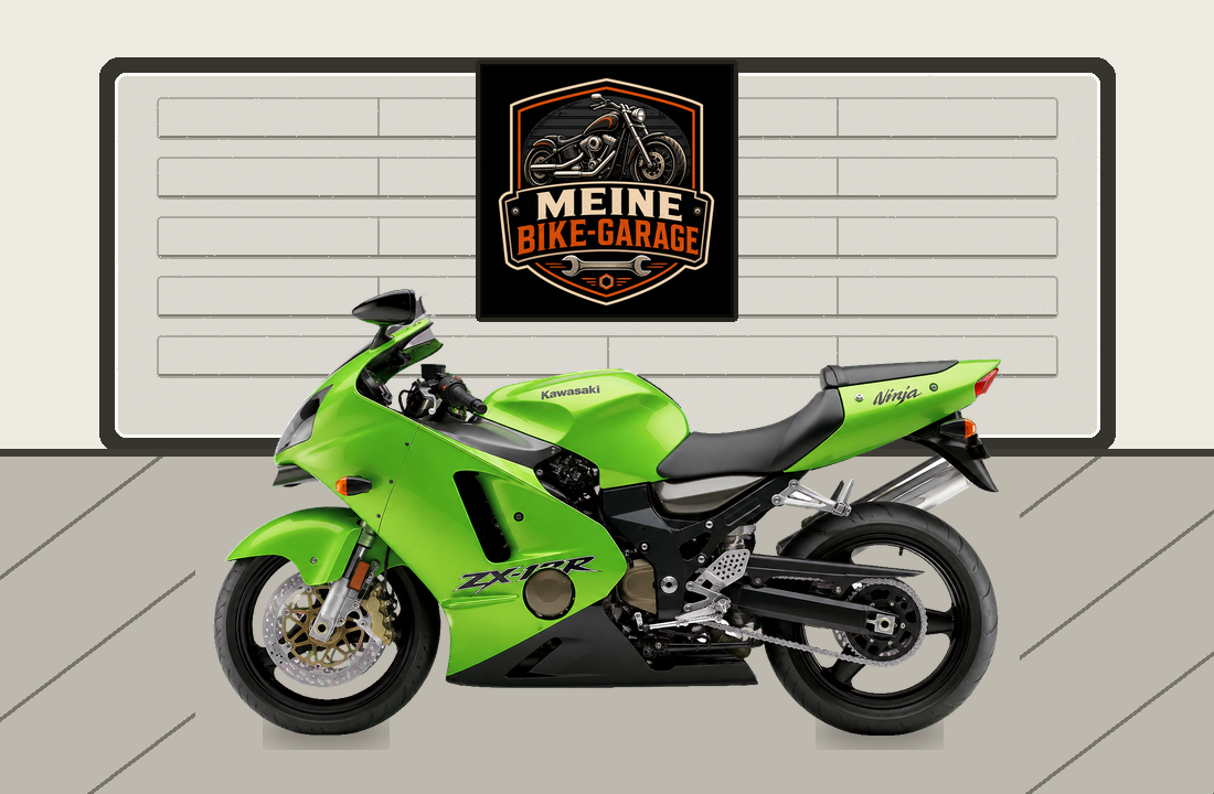 Motorradillustration für Kawasaki Ninja ZX-12R