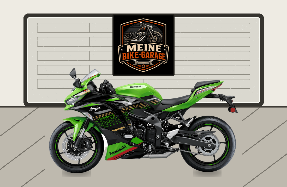 Motorradillustration für Kawasaki Ninja ZX-25R