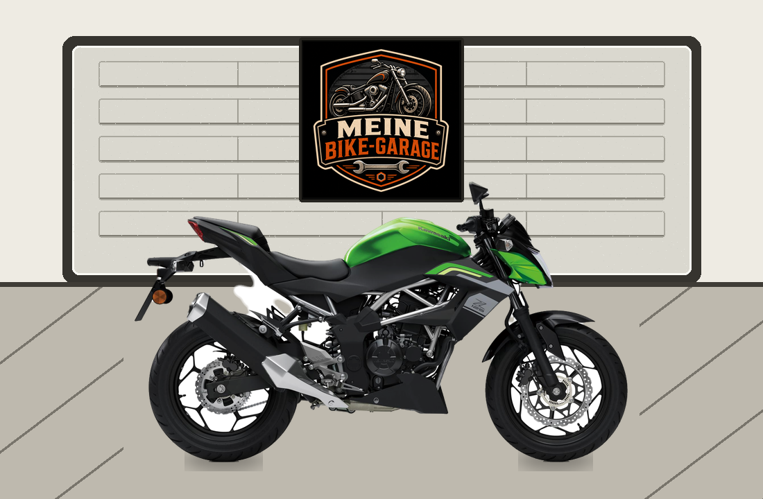 Motorradillustration für Kawasaki Z125
