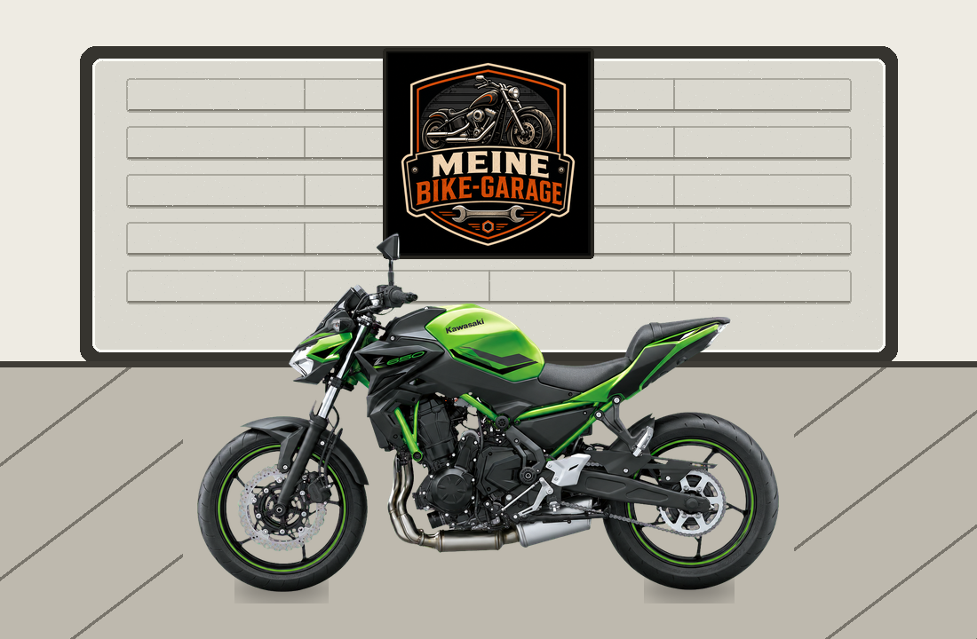 Motorradillustration für Kawasaki Z650