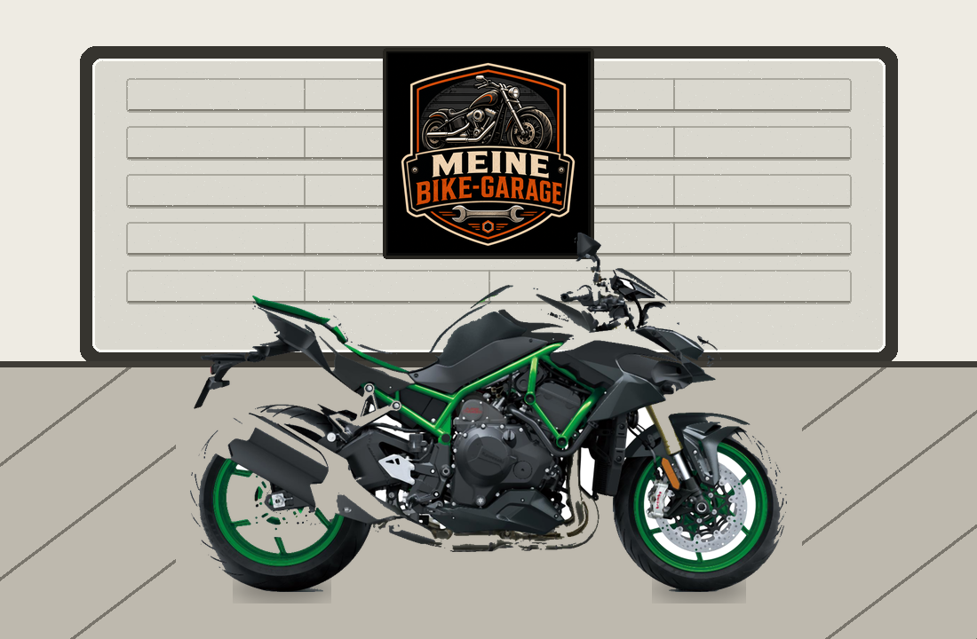 Motorradillustration für Kawasaki Z H2