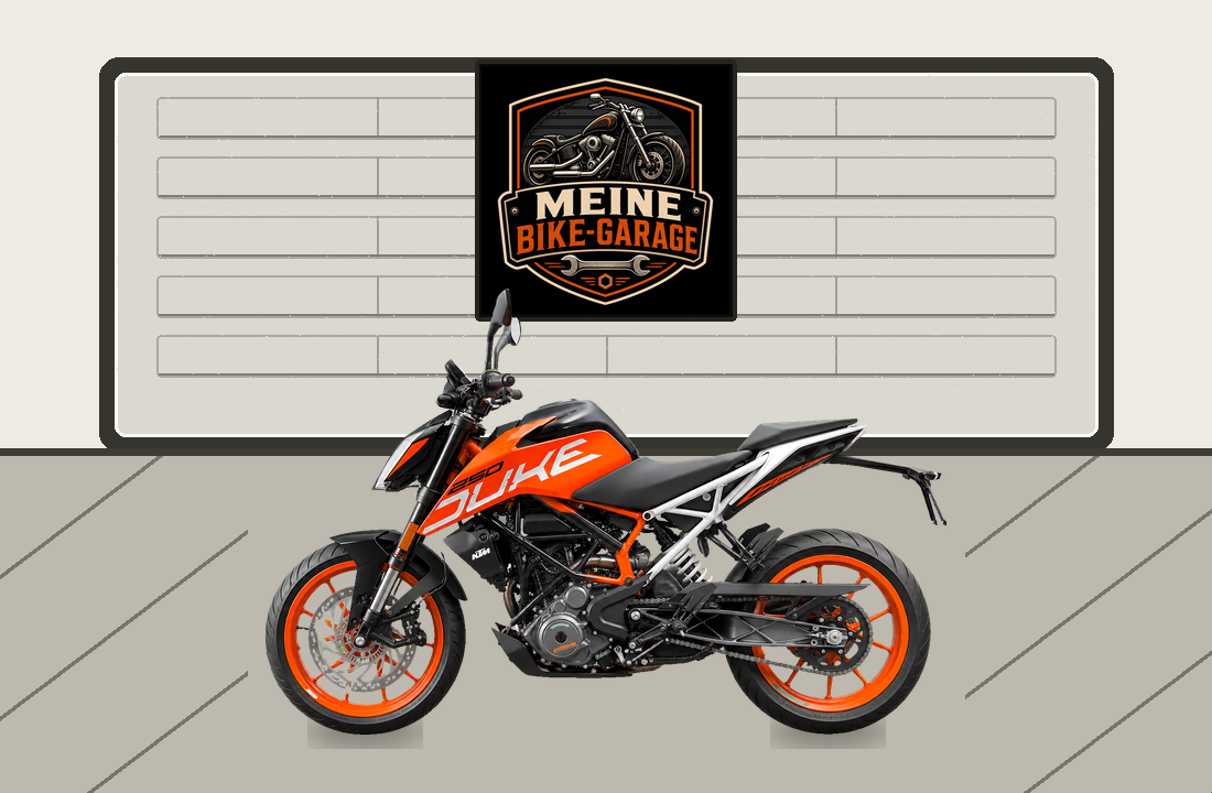 Motorradillustration für KTM 250 Duke