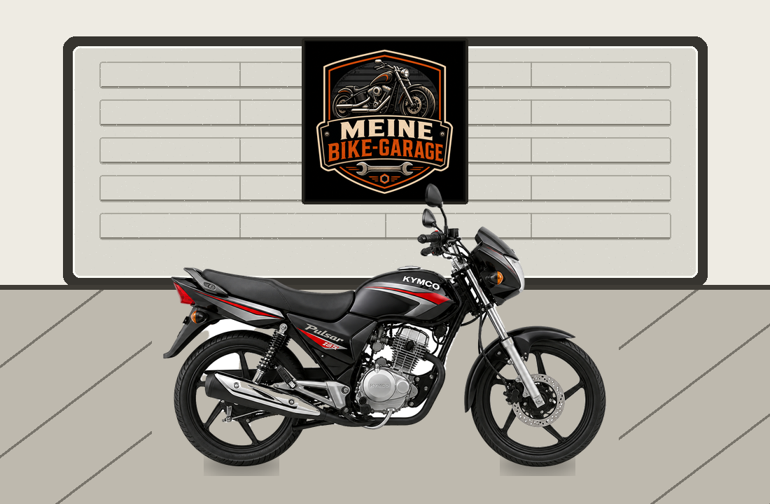 Motorradillustration für Kymco Pulsar 125