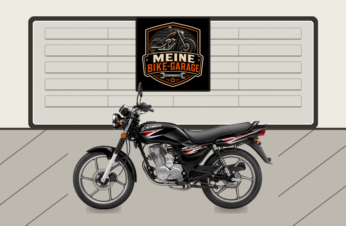 Motorradillustration für Kymco Pulsar CK 125