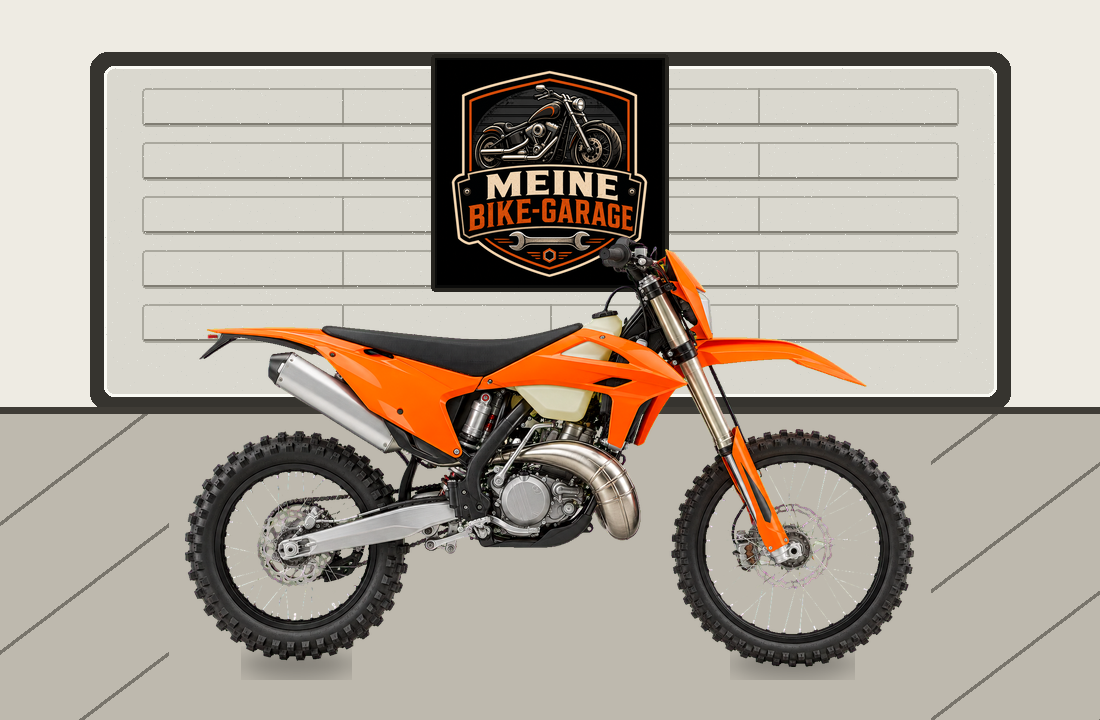 Motorradillustration für Rieju MR 300 Pro