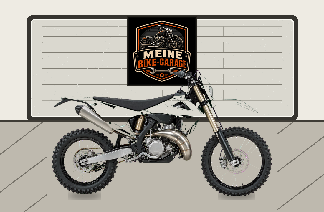 Motorradillustration für Rieju MR 300 Racing