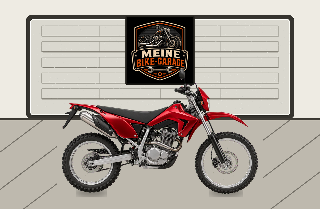 Motorradillustration für Rieju Tango 125
