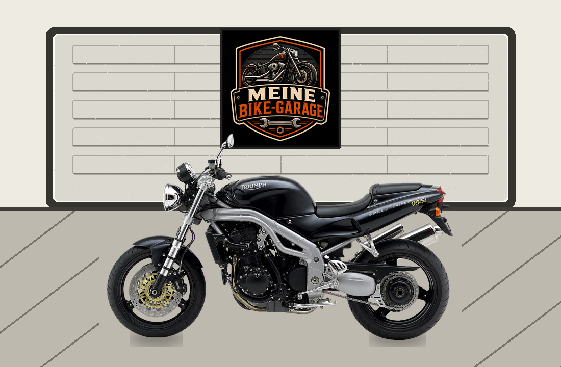 Motorradillustration für Triumph Speed Triple 955i