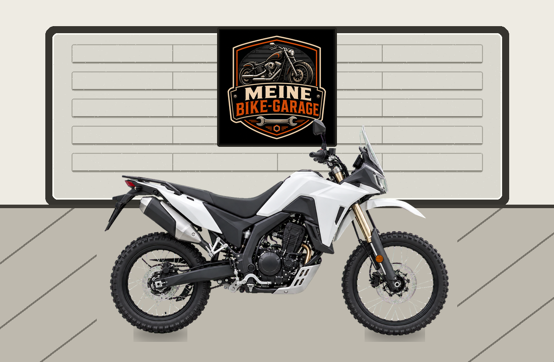 Motorradillustration für Voge 300 Rally